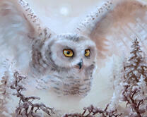 Без бренда «2KMB-3848» в Балашихе 