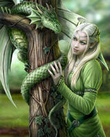 Без бренда «Эльфийка и зеленый дракон» в Балашихе 