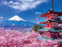 Без бренда «2KSB-7277» в Балашихе 