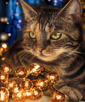 Без бренда «2KXSB-0678» в Балашихе 