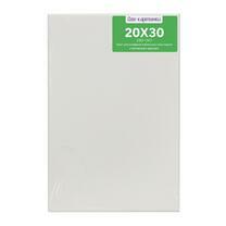 Без бренда «Коробка 80 шт.: Холст Две картинки на подрамнике 20X30» в Балашихе 