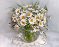 Без бренда «Букет ромашек с колосками в круглой вазе (20шт)» в Балашихе 