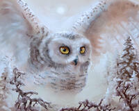 Без бренда «Полярная сова над лесом (20шт)» в Балашихе 