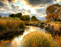 Без бренда «BOX25-GX29355» в Балашихе 