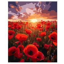 Маковое поле на рассвете