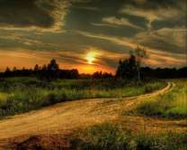 Без бренда «Проселочная дорога на закате» в Балашихе 