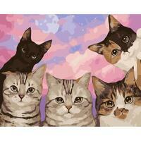 Без бренда «Такие разные котики» в Балашихе  в интернет-магазине  Без бренда «Такие разные котики» в Балашихе