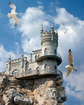 Белые чайки у ласточкиного гнезда