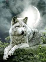 Без бренда «Коробка 25 шт. картин по номерам BOX25-GX21058» в Балашихе 