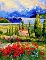 Маки, домик и горы