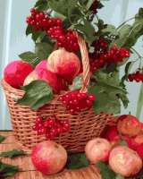 Без бренда «Плетёная корзина с калиной и яблоками» в Балашихе 