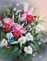 Колибри над нежными цветами