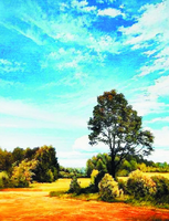 Без бренда «Осенний пейзаж с голубым небом» в Балашихе  в интернет-магазине  Без бренда «Осенний пейзаж с голубым небом» в Балашихе