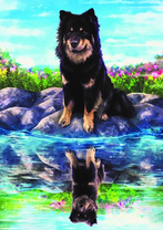 Пушистый большой пес и его отражения щенка