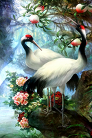 Без бренда «Коробка 25 шт. картин по номерам BOX25-GX29399» в Балашихе  в интернет-магазине  Без бренда «Коробка 25 шт. картин по номерам BOX25-GX29399» в Балашихе