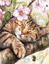 Без бренда «Волосатый котик спит на ветви яблони» в Балашихе в интернет-магазине  Без бренда «Волосатый котик спит на ветви яблони» в Балашихе